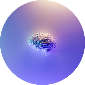 endless-knowledge-capacity