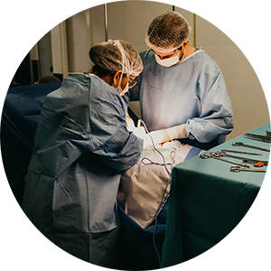 provide-catheter-care-to-resident